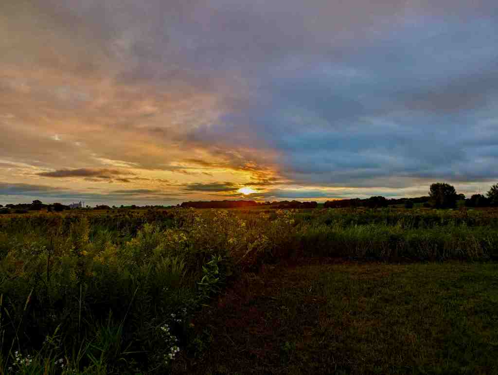 Five Simple Joys: What Makes My Everyday Brighter (A Little More Chatty&nbsp;Edition!)